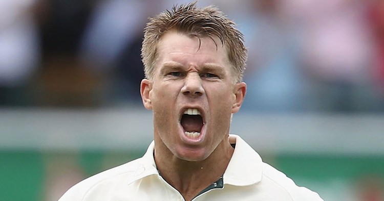 Ashes 2017 David Warner