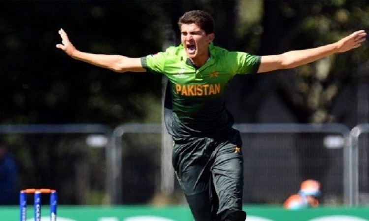 Shaheen Shah Afridi thanks Rahul Dravid