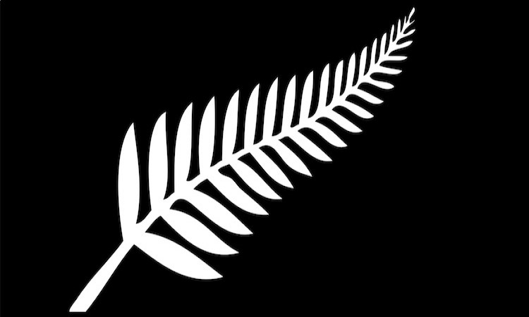 New Zealand Cricket