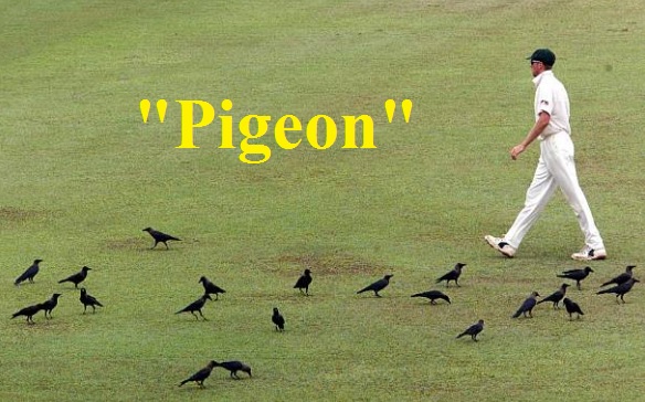Glenn McGrath Glenn McGrath