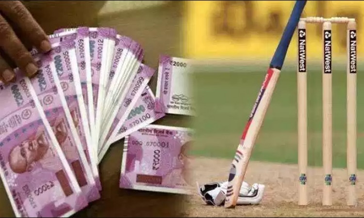 cricket betting 