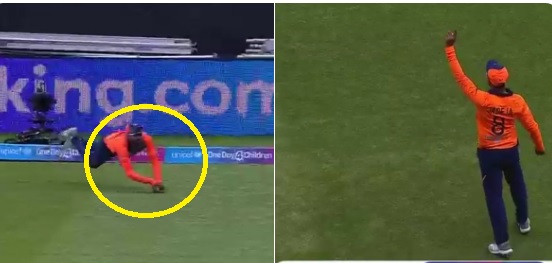 World cup 2019 World cup 2019