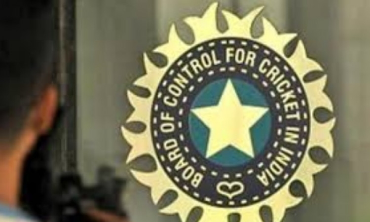 CoA can't decide on voting rights of states, SC will: BCCI lawyer Images