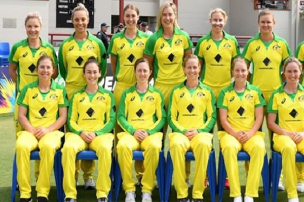 cricket cricket