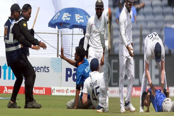 cricket cricket