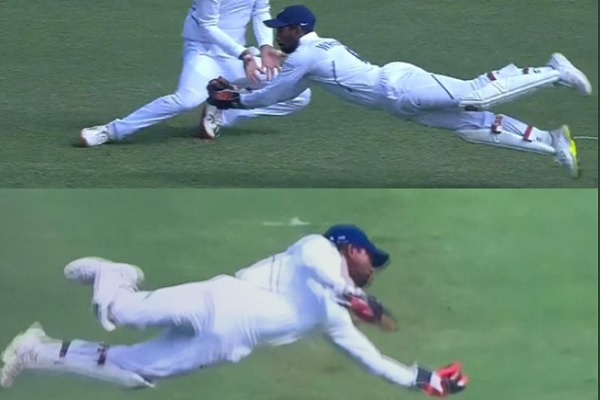 cricket cricket