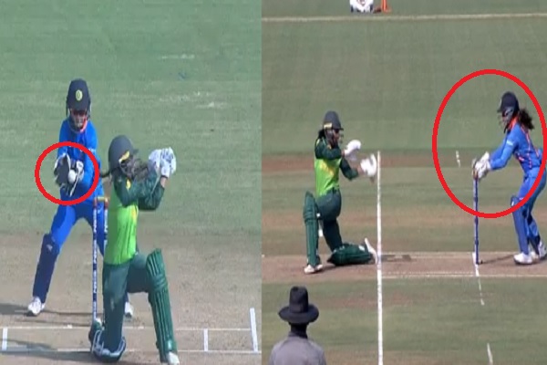 cricket cricket