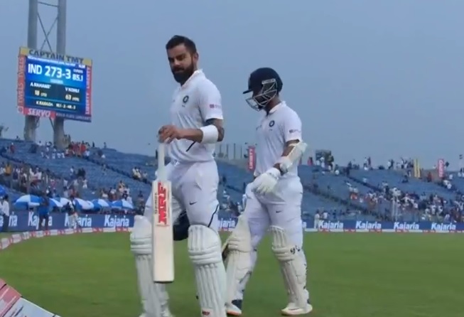 cricket cricket