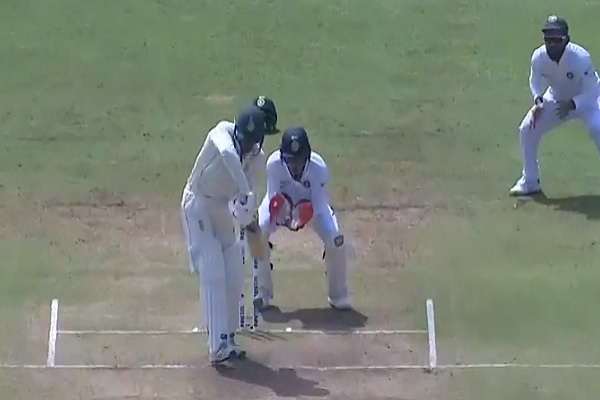 cricket cricket
