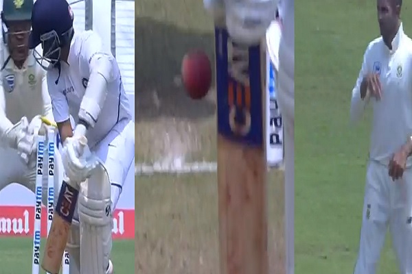 cricket cricket
