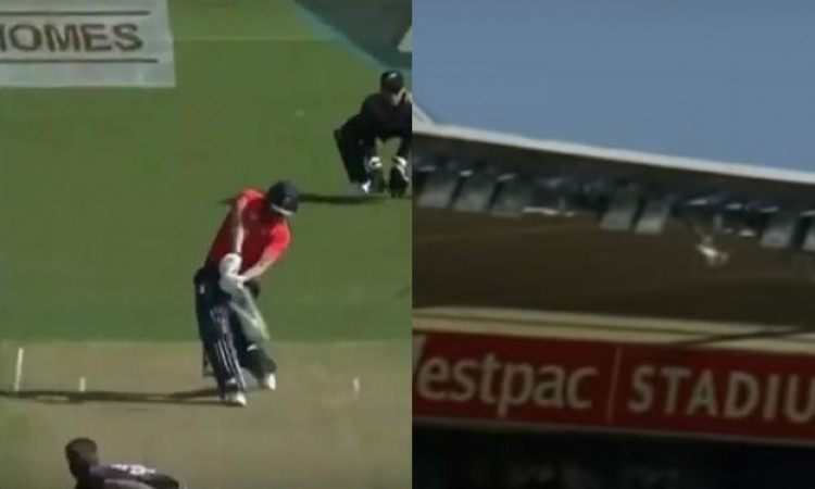 Dawid Malan Dawid Malan