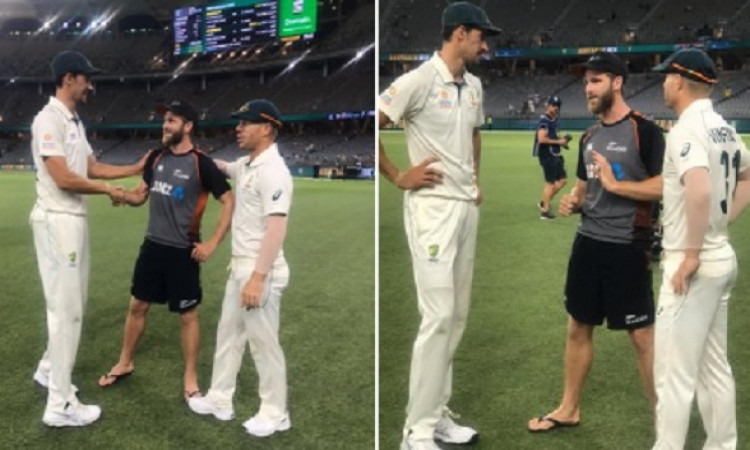 पर्थ टेस्ट: आस्ट्रेलिया ने न्यूजीलैंड को 296 रनों से हराया, इसे मिला मैन ऑफ द मैच का खिताब ! Images
