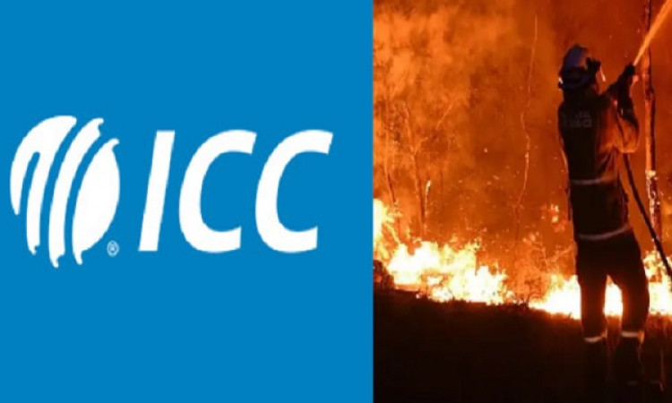 आईसीसी ने आस्ट्रेलिया के जंगलों में लगी आग से हो रही तबाही को लेकर उठाया ऐसा सराहनीय कदम Images