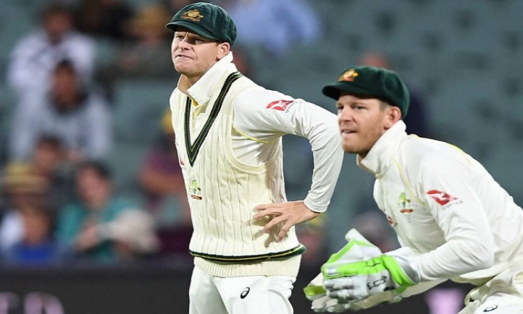 Tim Paine and Steve Smith