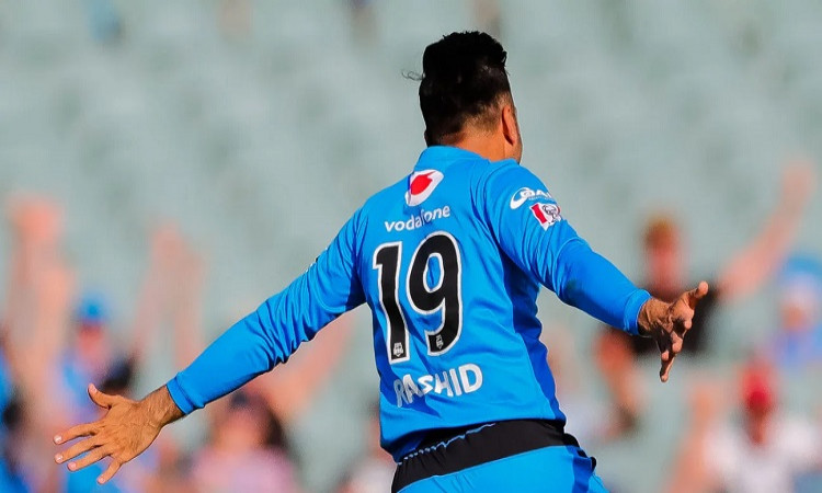 BBL 10: Rashid Khan To Continue With Adelaide Strikers