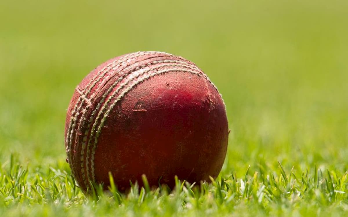 Bowling action of USA's Nisarg Patel found illegal by ICC Bowling action of USA's Nisarg Patel found illegal by ICC