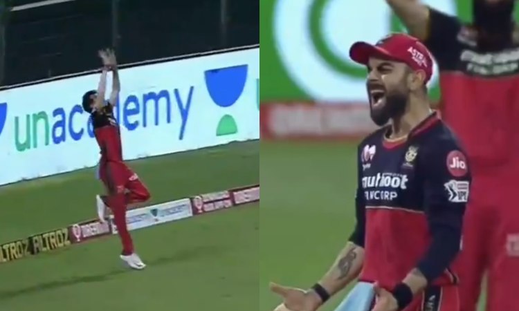 RCB captain Virat Kohli gave an earful to yuzvendra chahal after he missed a catch of marcus stoinis