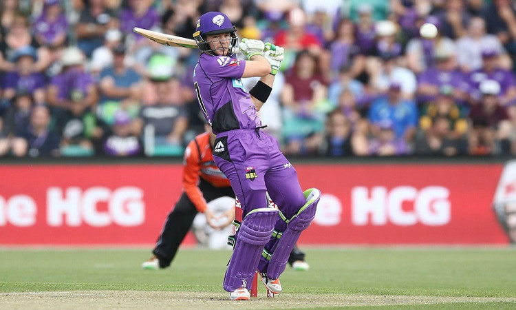 Tim Paine In BBL