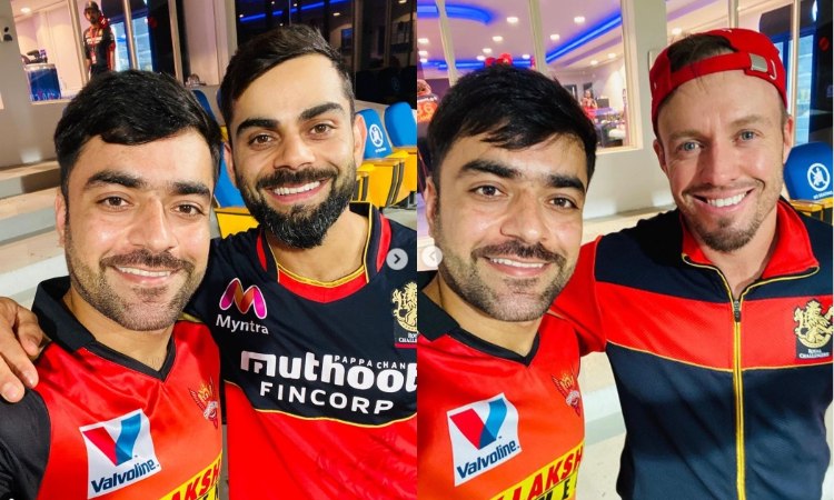 srh captain david warner reacts after rashid khan shares a picture with virat kohli and ab de villie