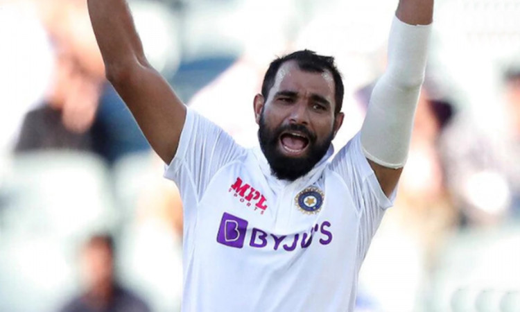 Aus vs Ind 3 players who could replace Mohammed Shami in India Test squad against Australia