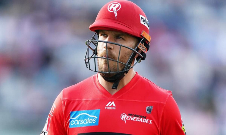 image for cricket aaron finch melbourne renegades 