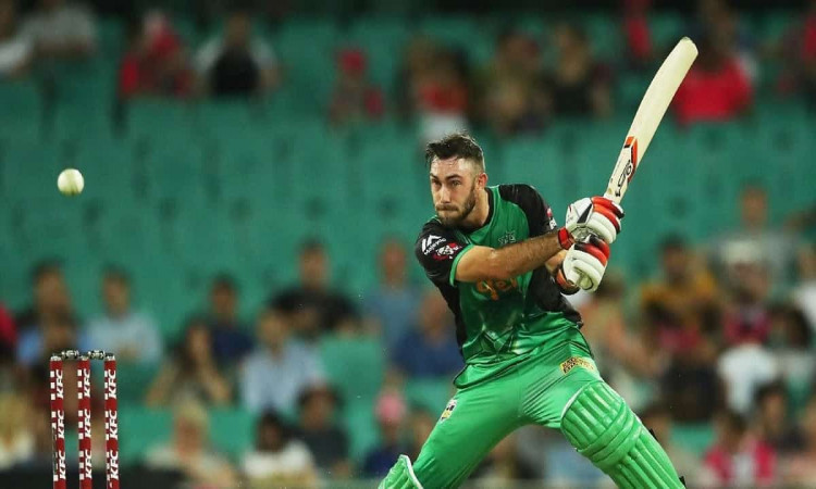 image for cricket glenn maxwell melbourne stars 