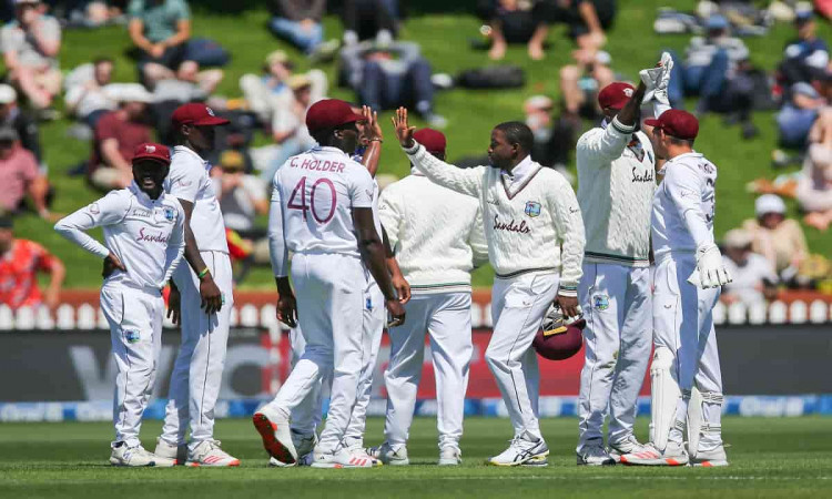 image for cricket new zealand vs west indies 2nd test