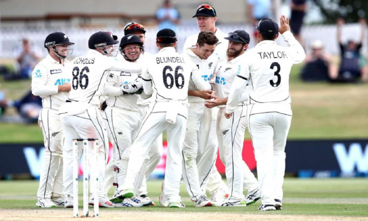 NZ vs PAK: New Zealand beat Pakistan by 101 runs, Williamson declared as Man of the Match