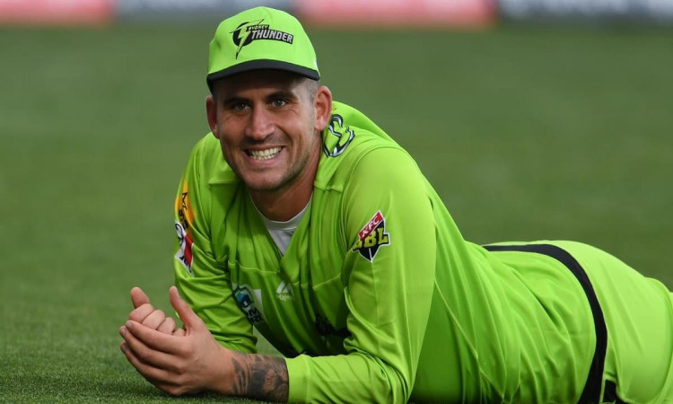 image for cricket alex hales sydney thunder 