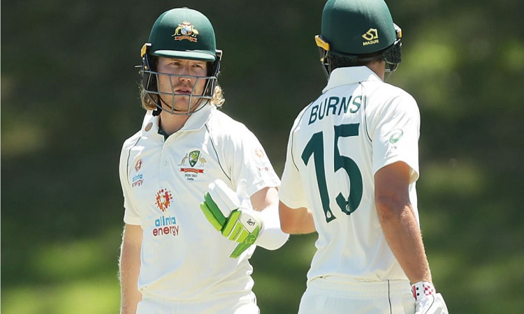 Who will open for Australian in boxing day test match, Joe Burns or Will Pucovski