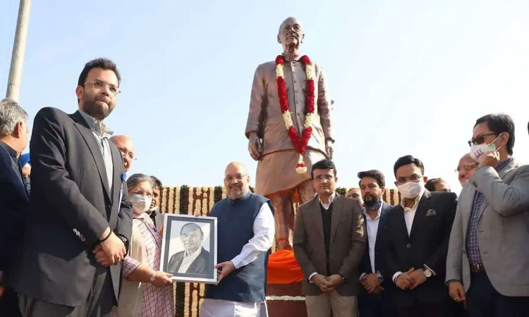 Image of Cricket DDCA former President Arun Jaitely Statue