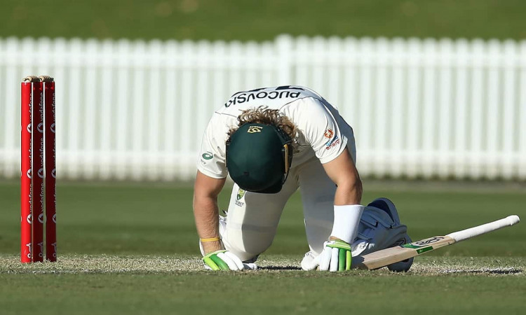 image for cricket will pucovski against india a concussed 