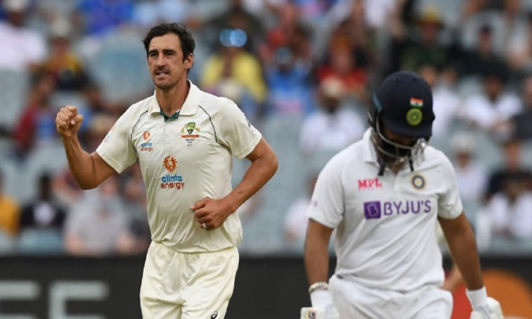 image for cricket mitchell starc 250 wickets