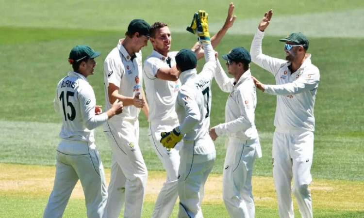 image for cricket australian bowling in test matches