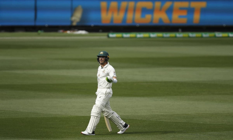 Image of Cricket Tim Paine Controversial Out