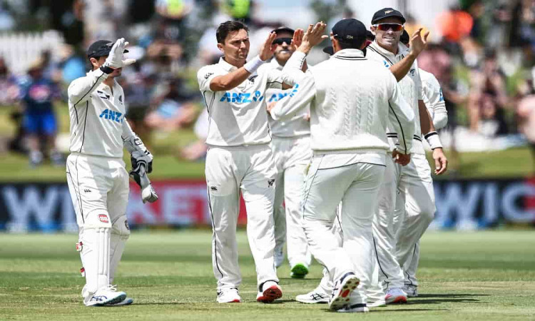 image for cricket new zealand vs pakistan