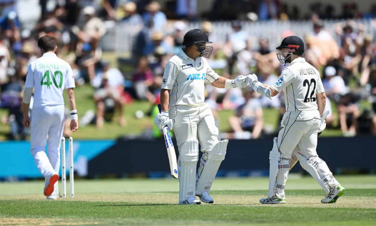 image for cricket new zealand vs pakistan