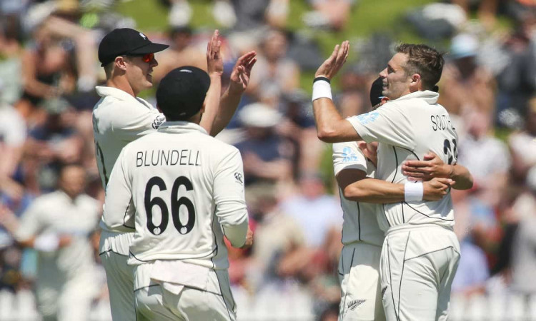 image for cricket new zealand vs west indies 