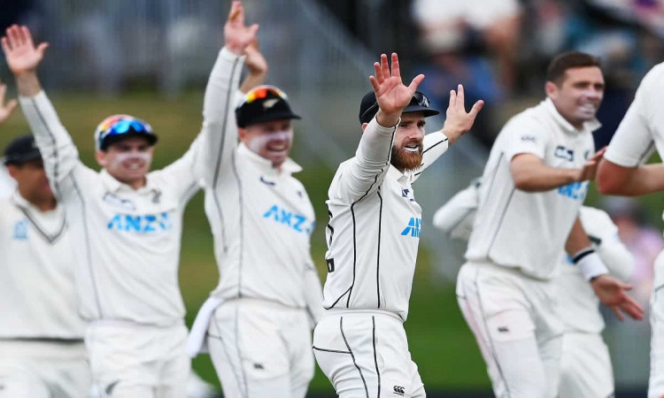 image for cricket new zealand vs pakistan