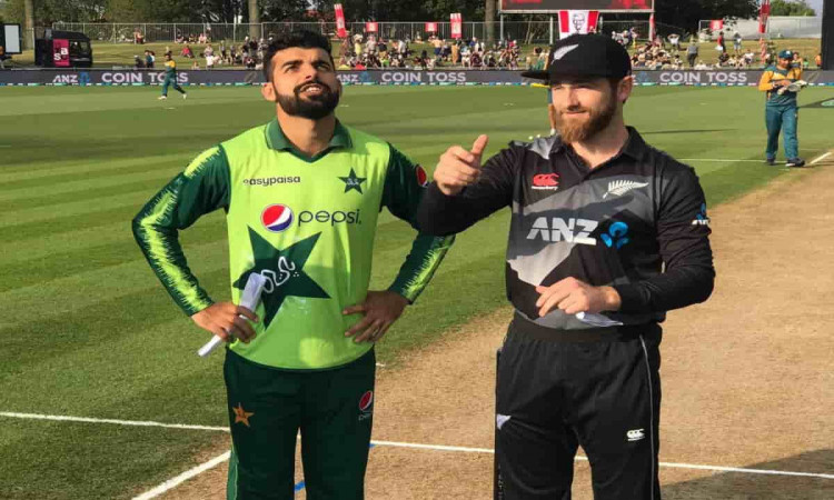 image for cricket new zealand vs pakistan