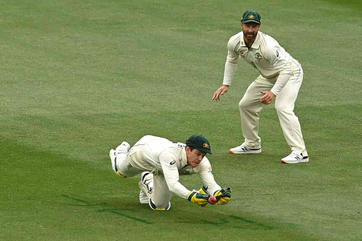 Watch: Tim Paine bowls and takes a wicket in domestic match