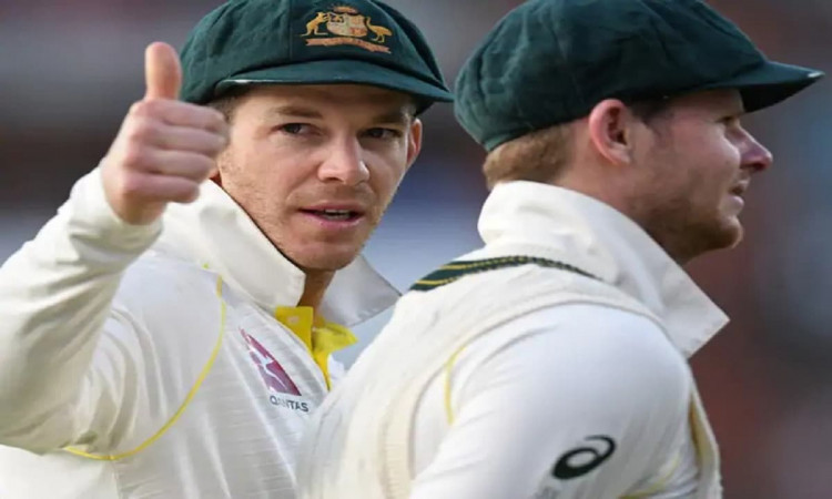 Image of Cricketer Tim Paine