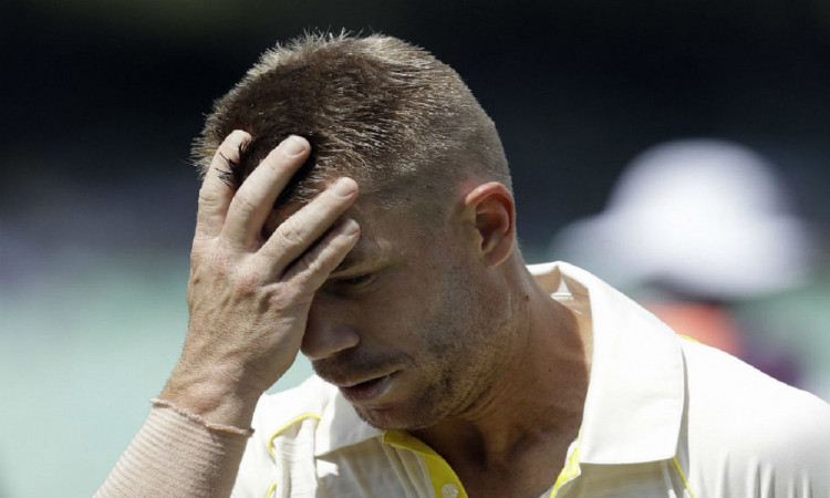 cricket images for David Warner gets trolled by user after he post a funny video on instagram