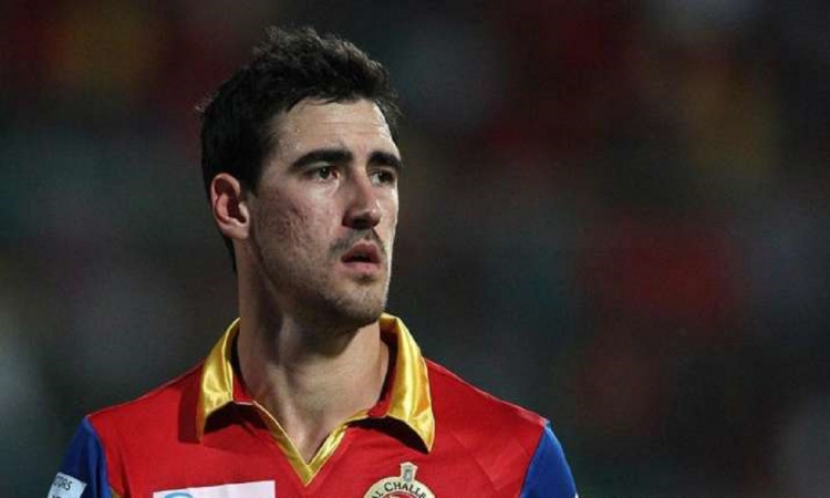 Cricket Image for IPL 2021 Mitchell Starc Can Be Picked By Either Rcb Rajasthan Royals Or Kings Xi P