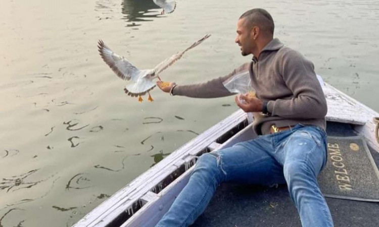 Shikhar Dhawan In Trouble For Feeding Birds In Varanasi