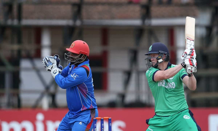 image for cricket afghanistan vs ireland