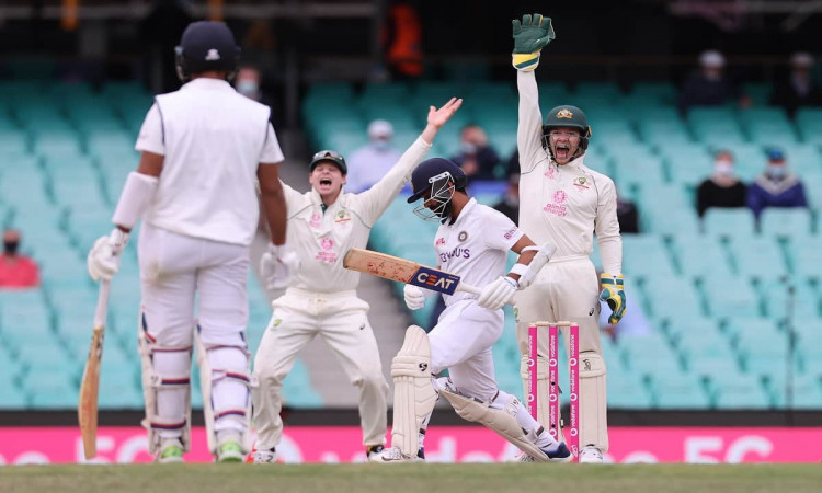 image for cricket australia vs india scg test 