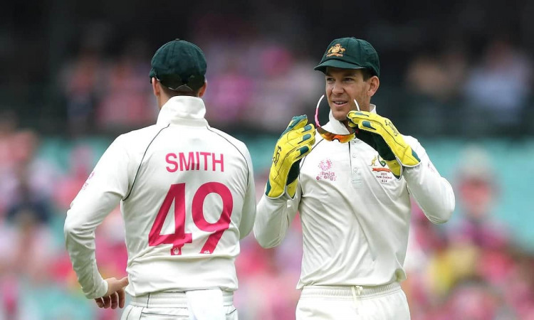 Image of Cricket Australian Captain Tim Paine Defend Steve Smith 