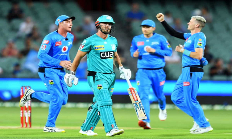 Cricket Image for BBL10: Adelaide Strikers Beats Brisbane Heat By 82 Runs