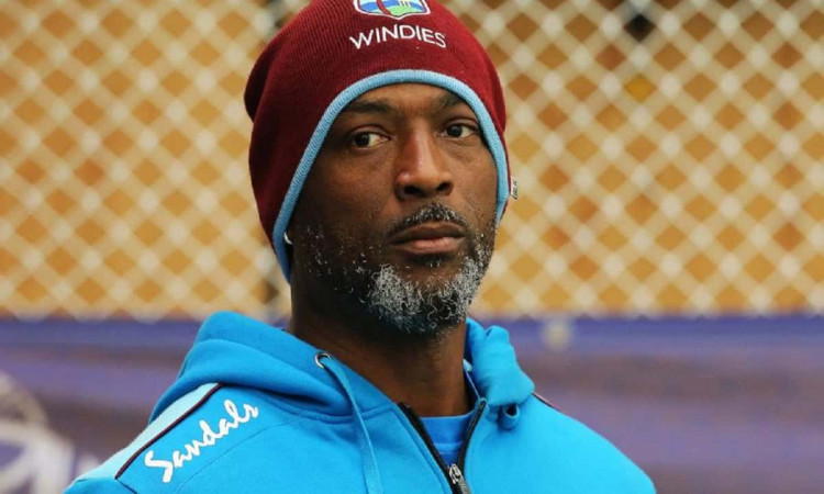 Image of Cricket Floyd Reifer Appointed West Indies U19 Head Coach